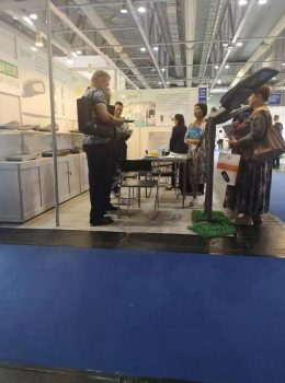 Tentoonstelling Toon